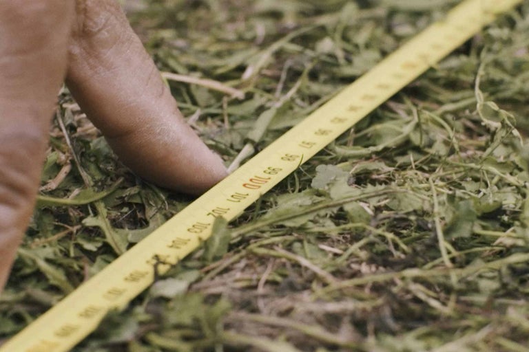 Žltý zvinovací meter leží na tráve