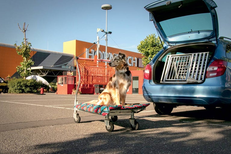 Oslávte s nami Svetový deň zvierat