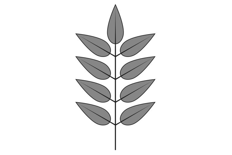 List s niekoľkými listami