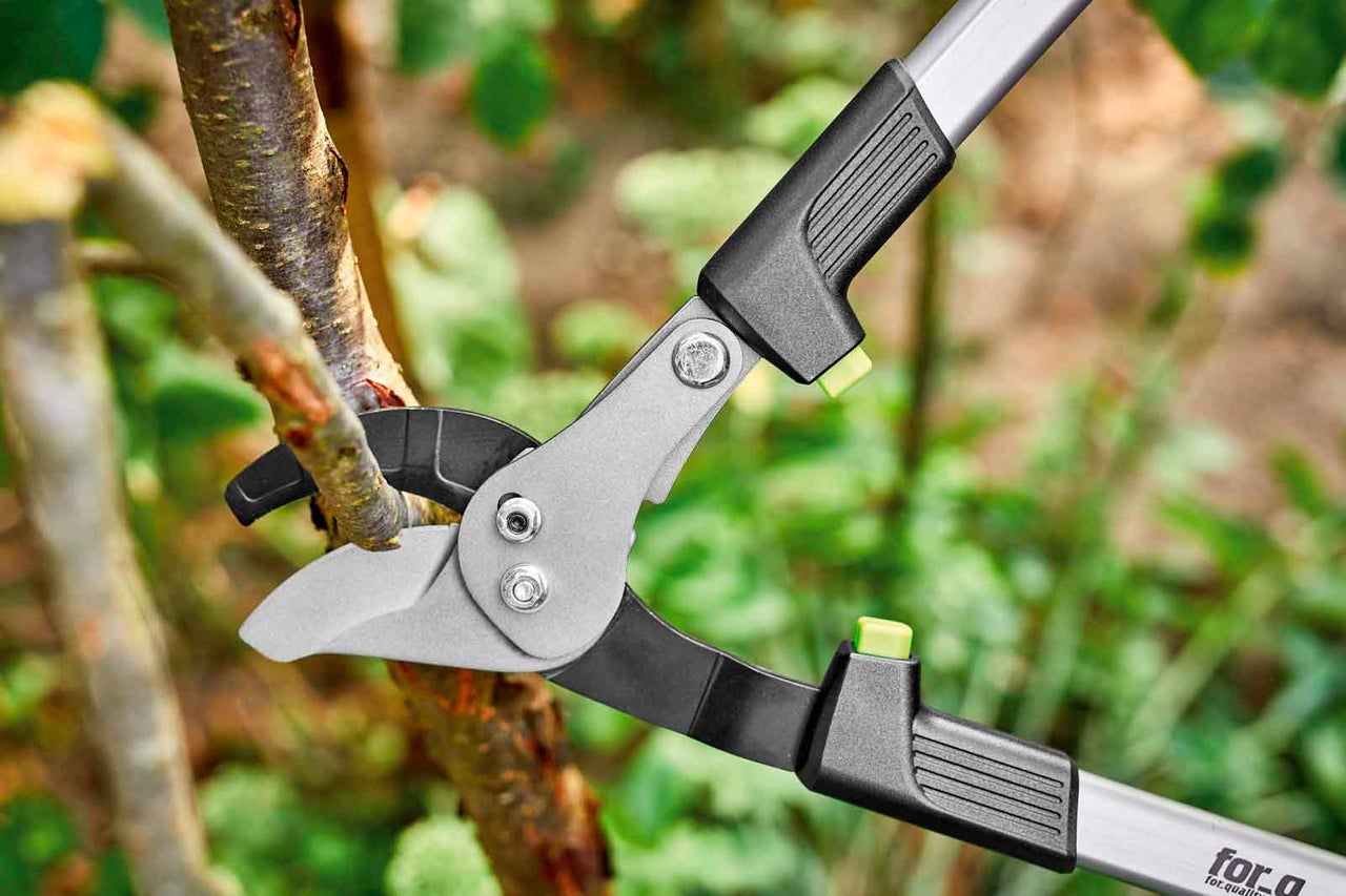 Nožnice na konáre strihajú konár