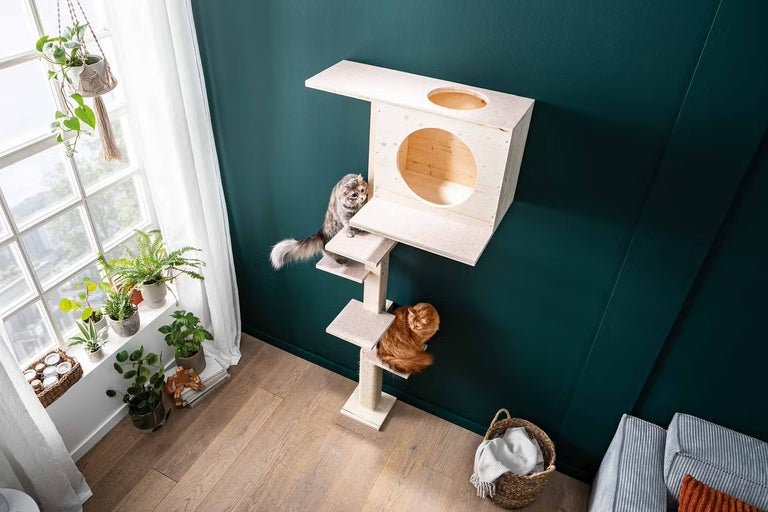 Ako vyrobiť škrabadlo pre mačku