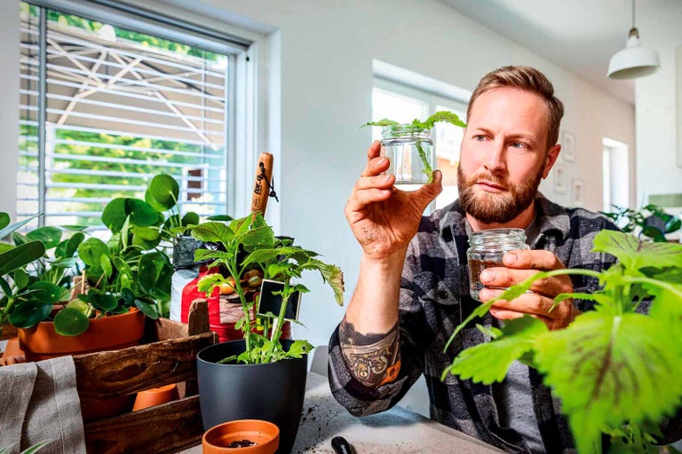 Muž s bradou drží dva poháre s odrezkami rastlín, obklopený izbovými rastlinami v kvetináčoch a debničkách.