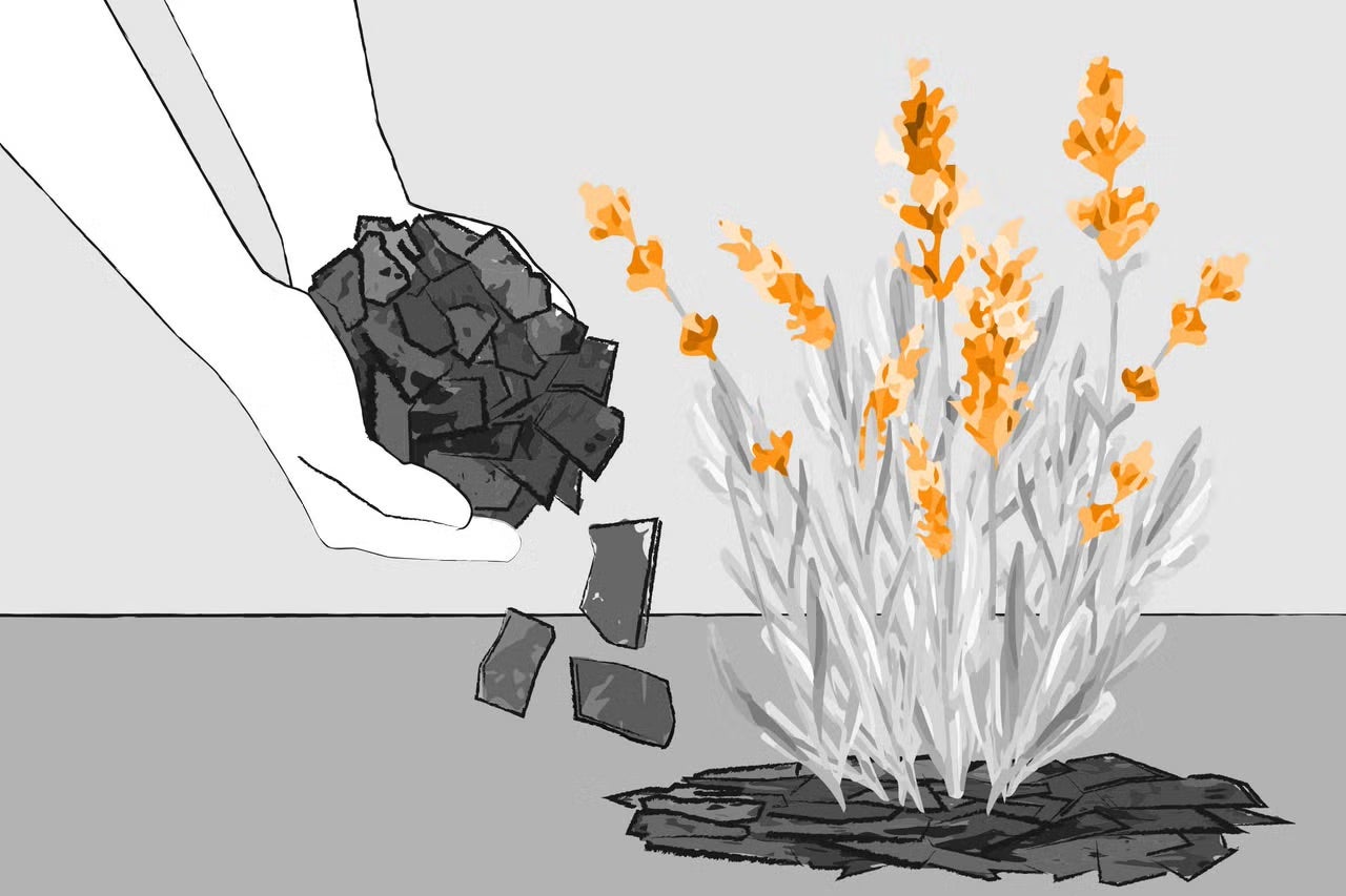Ilustrácia drevnej štiepky rozsypanej okolo rastliny