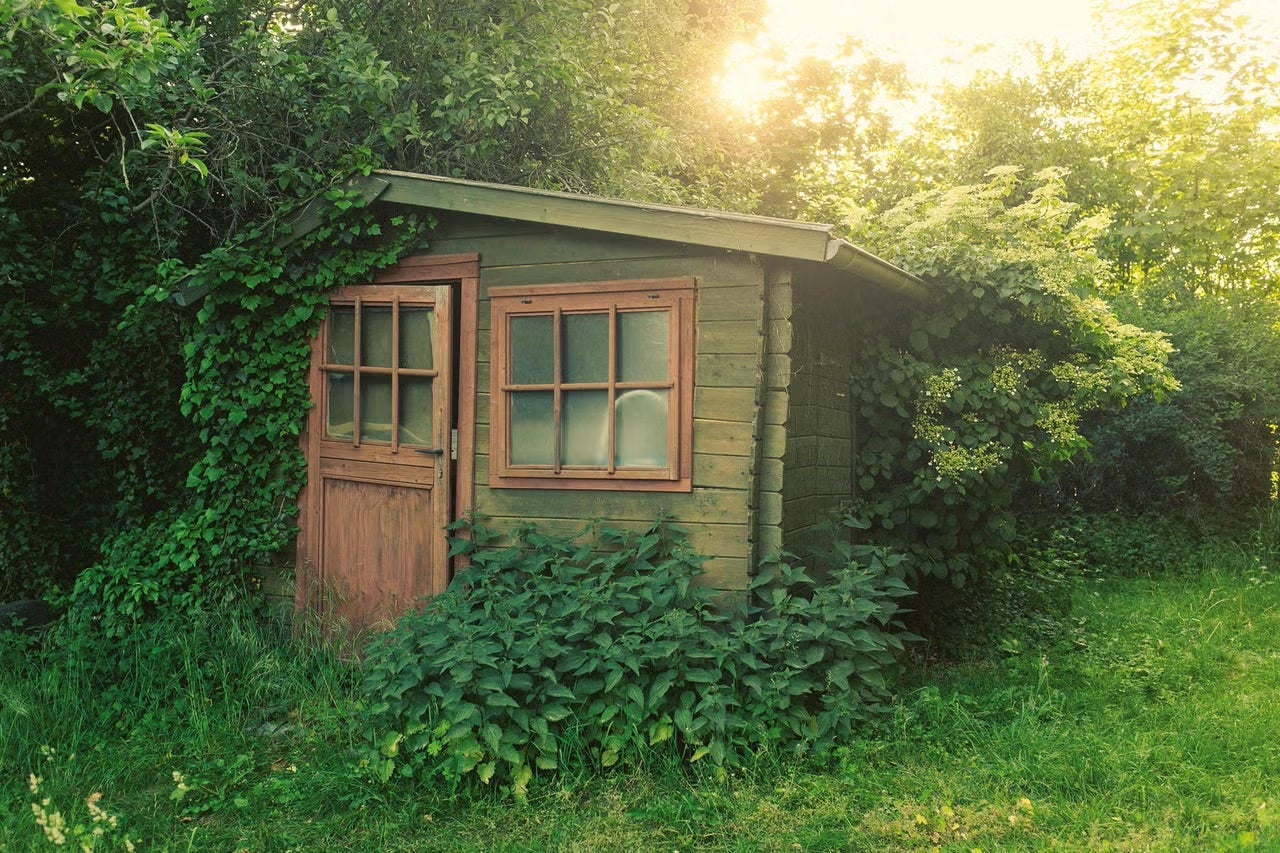 Záhradná búda s drevenými dverami a oknom v zeleni