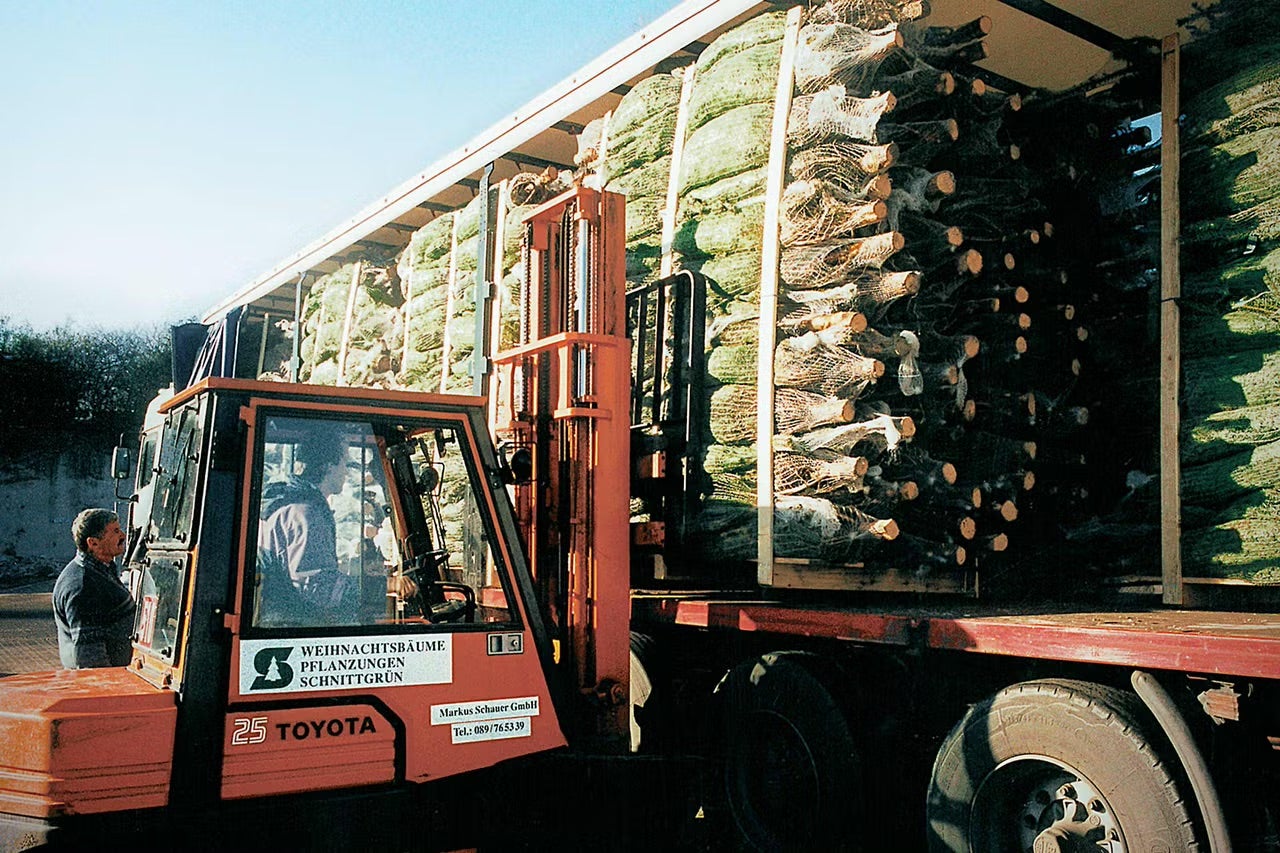 Vysokozdvižný vozík nakladá balené vianočné stromčeky na nákladné auto