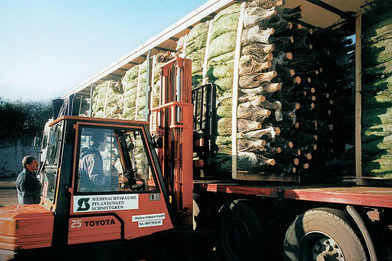 Vysokozdvižný vozík nakladá balené vianočné stromčeky na nákladné auto