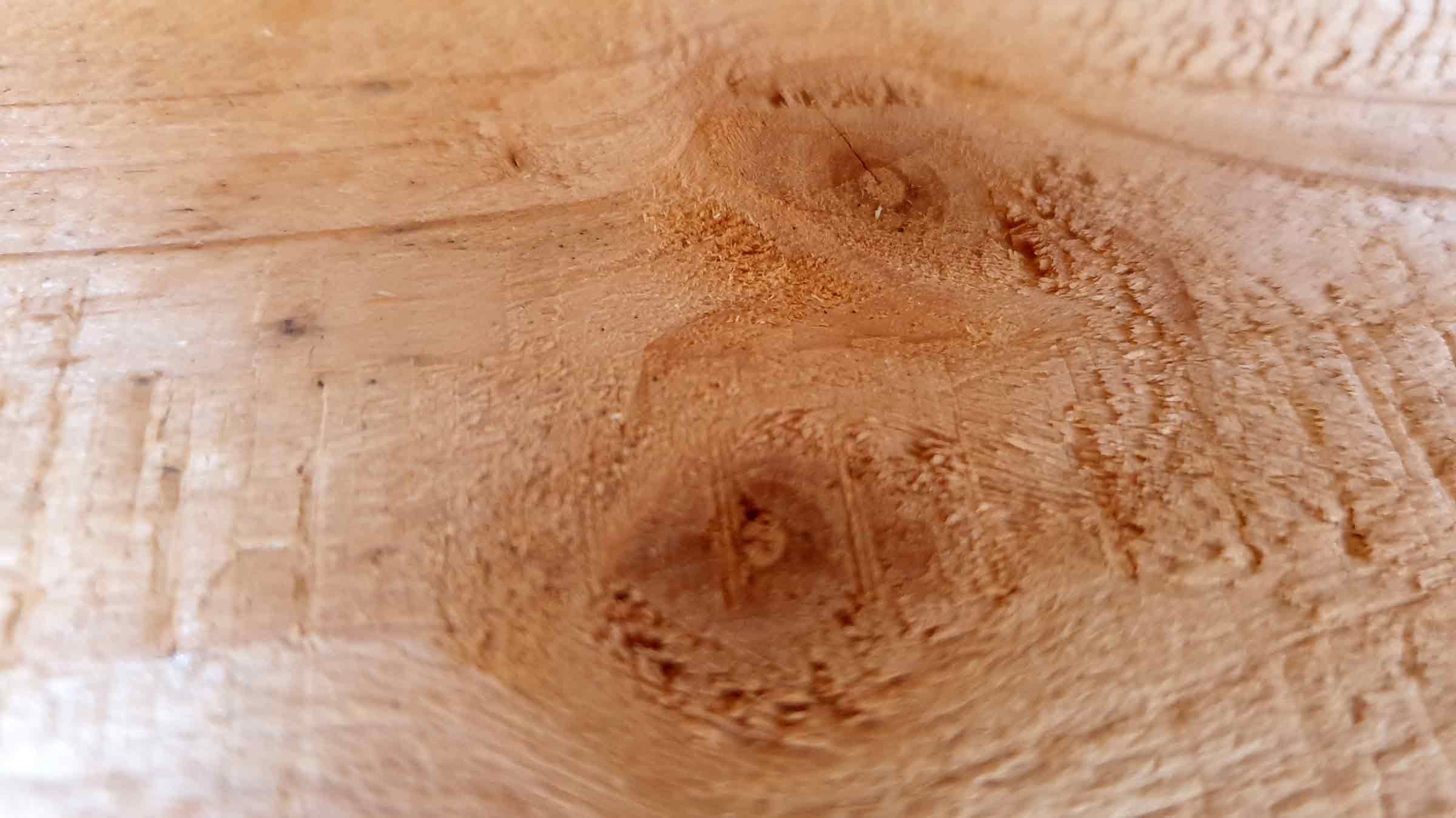 Detail dreva s hrčou