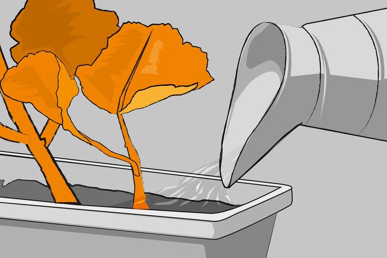 Ilustrácia: kanva zavlažuje rastlinu v kvetináči