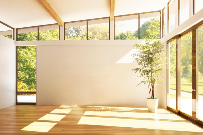 Svetlá miestnosť s veľkými oknami, drevenou podlahou a bambusovou rastlinou v kvetináči