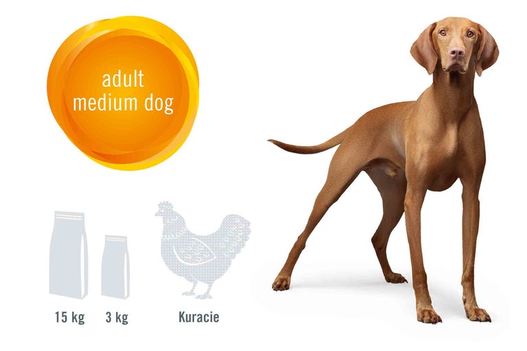 Ilustrácia krmiva pre dospelých psov stredných plemien s kuracím mäsom