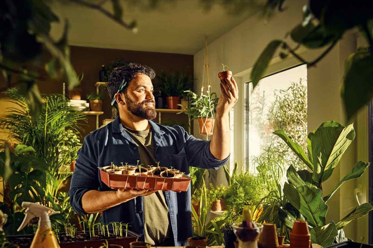 Muž si prezerá sadenicu v kvetináči obklopený izbovými rastlinami