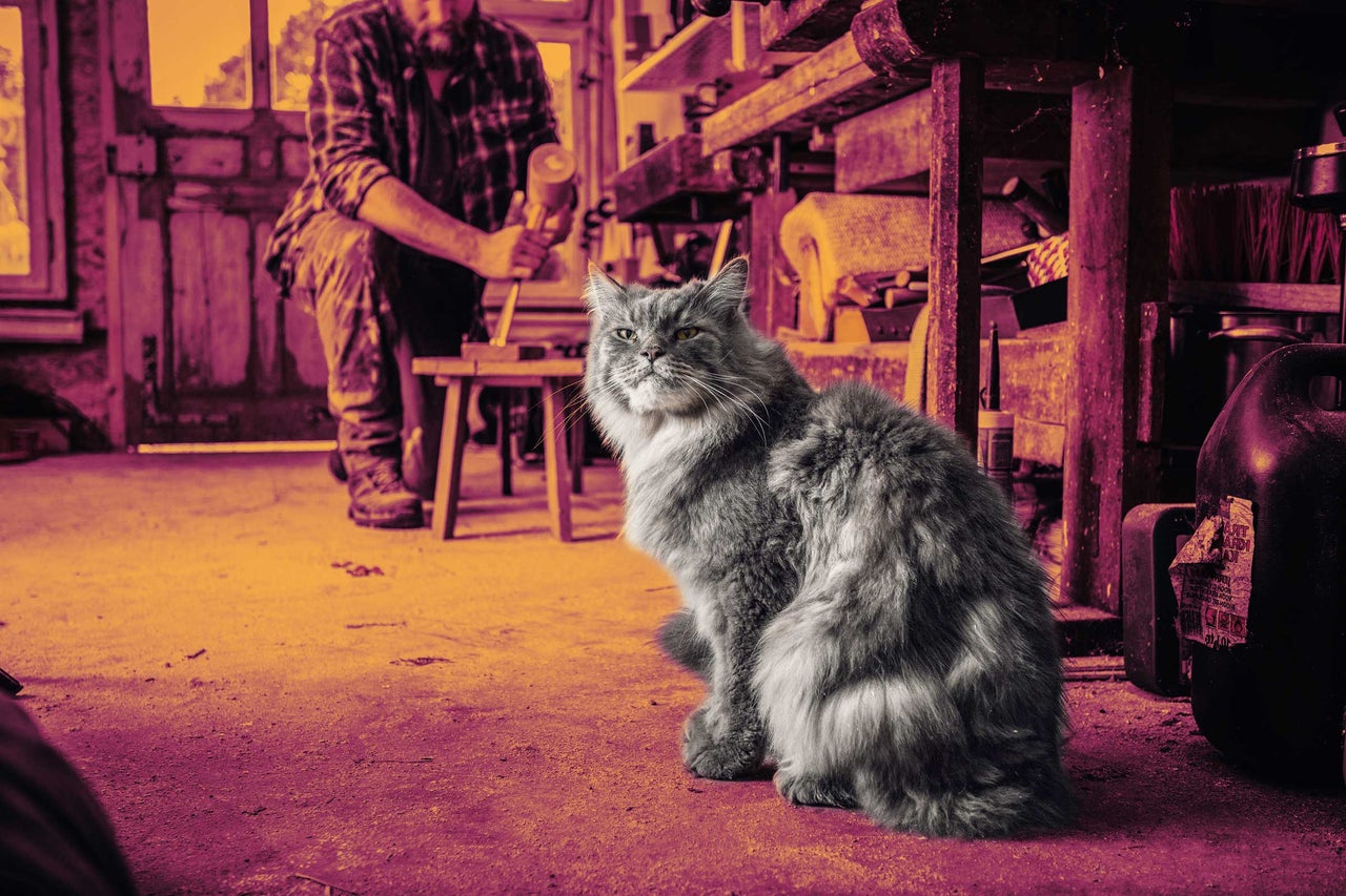 Scéna v dielni s mačkou v popredí a mužom pracujúcim s drevom v pozadí