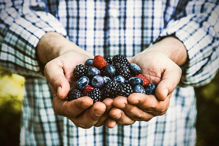 Ako pestovať bobuľové ovocie