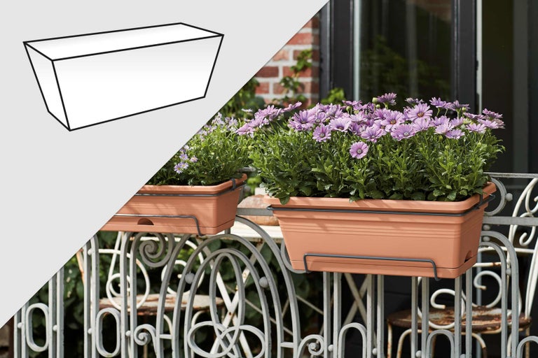 Dva kvetináče s fialovými kvetmi na balkóne