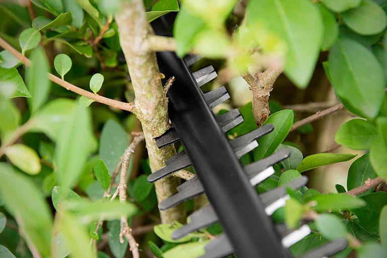 Detailný pohľad na nožnice na živý plot pri strihaní živého plota.
