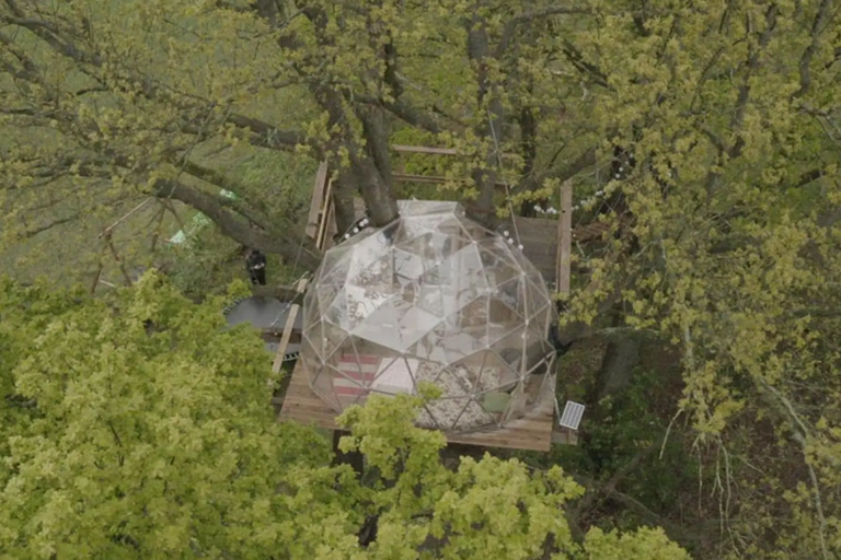Dom na strome s geodetickou kupolou uprostred stromov