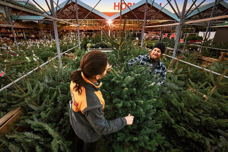Dvaja ľudia si vyberajú vianočný stromček v predajni Hornbach.