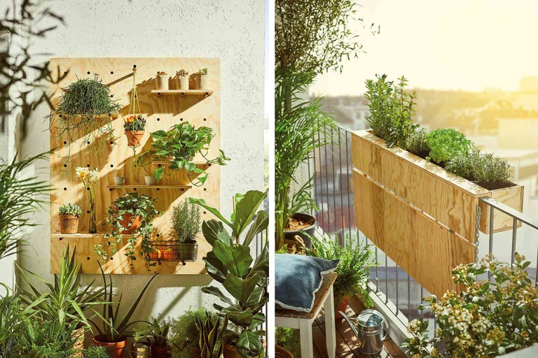 Dekoratívna stena s rastlinami a výsadba balkóna s rôznymi zelenými rastlinami