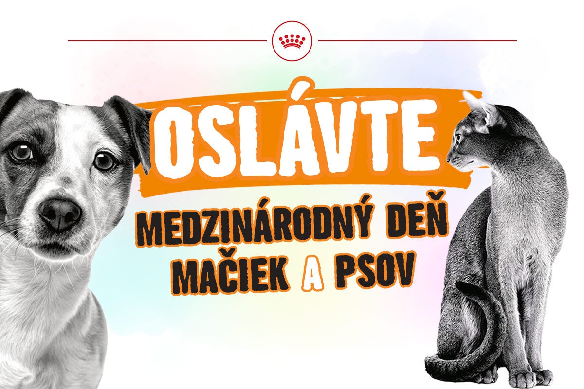 Reklamný banner k Medzinárodnému dňu mačiek a psov so psom, mačkou a Royal Canin Logo.