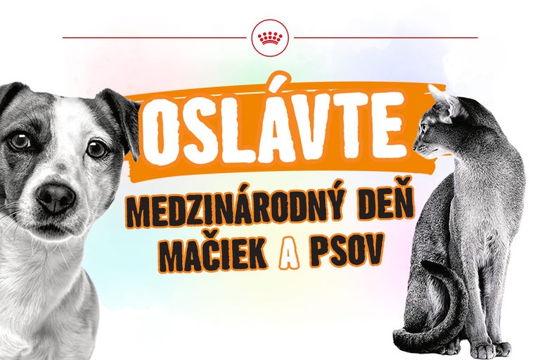 Reklamný banner k Medzinárodnému dňu mačiek a psov so psom, mačkou a Royal Canin Logo.