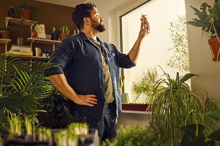 Muž si prezerá izbovú rastlinu v malom kvetináči v svetlom, zelenom prostredí