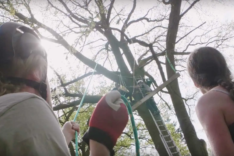 Ľudia stavajú domček na strome s rebríkom a lanami.