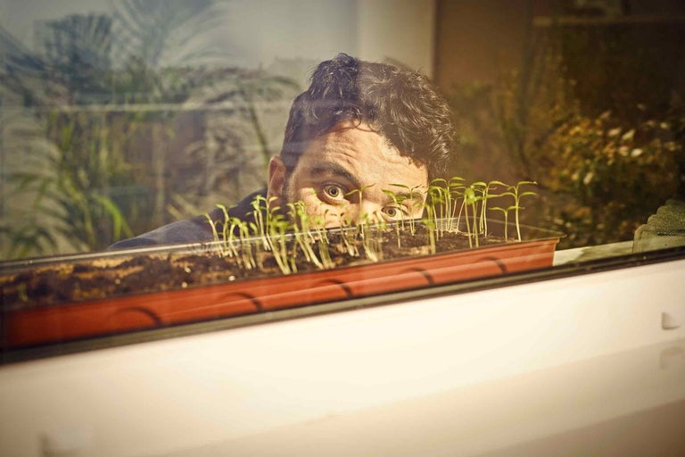 Muž sa pozerá na sadbovač s rastlinami