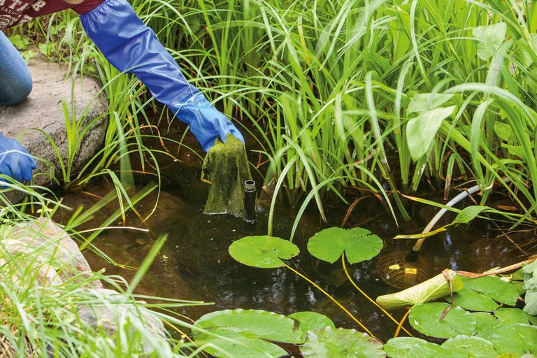 Čistenie jazierka s rukavicami a filtračnou rohožou v záhradnom jazierku s lekcami