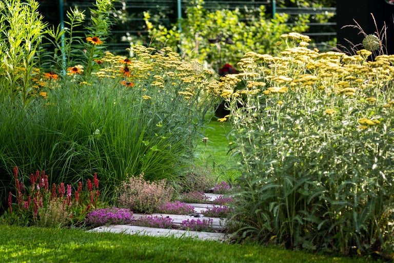 Záhradný chodník s kvitnúcimi rastlinami a trávami