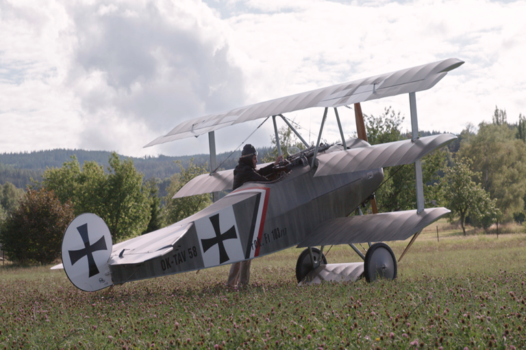 Trojplošník na poli s pilotom