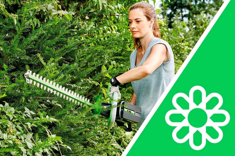 Žena strihá živý plot pomocou nožníc na živý plot