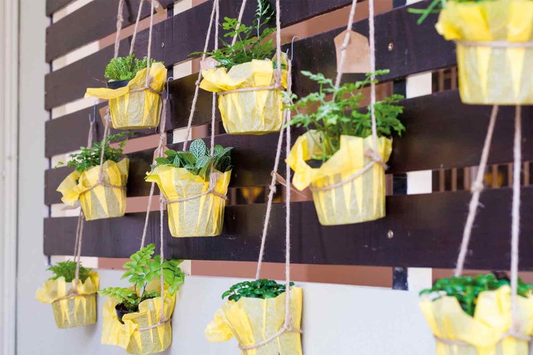 Závesné kvetináče pred drevenou stenou