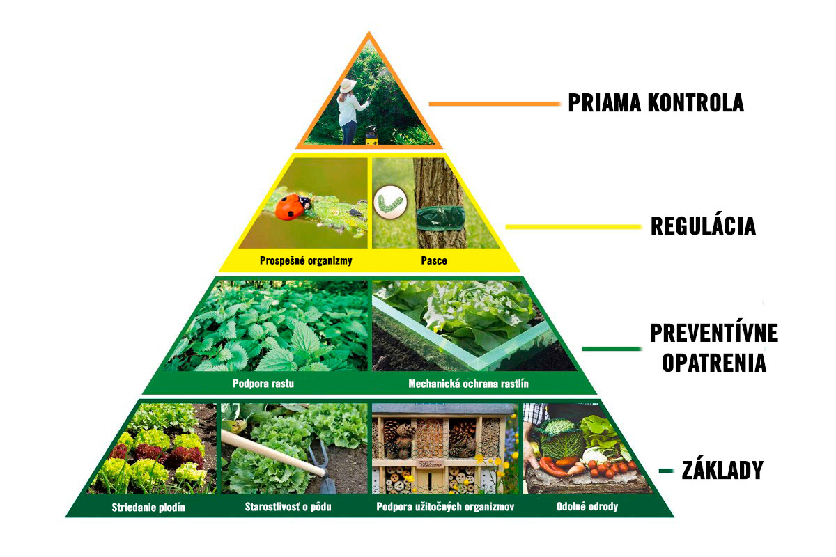 Pyramída opatrení na ochranu rastlín pre záhradu s priamou kontrolou, reguláciou, preventívnymi opatreniami a základmi.