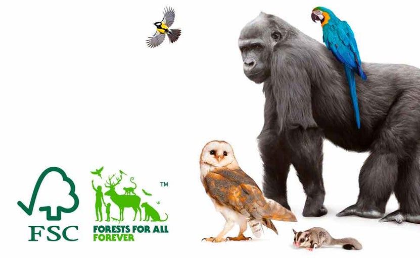Zobrazenie zvierat a symbolov pre trvalo udržateľné lesné hospodárstvo: gorila s papagájom, sova, lietajúca veverica, lietajúci vták, pečať FSC, logo Forests for All Forever.