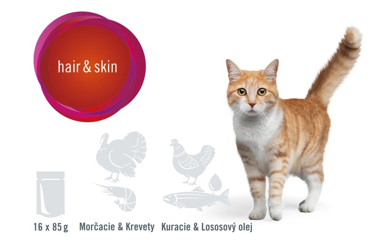Krmivo pre mačky pre srsť a kožu, 16 krát 85 gramov, príchute morčacie, krevety, kuracie a lososový olej
