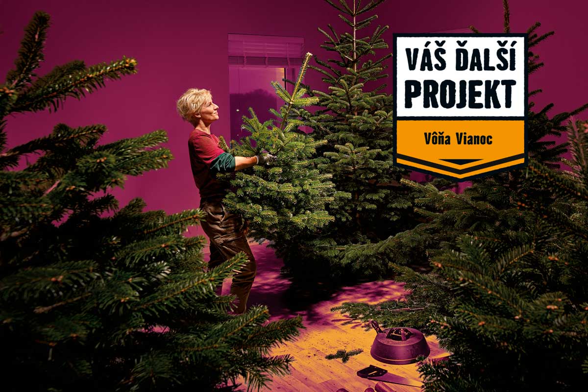 Žena stavia vianočný stromček pomocou stojana na vianočný stromček.