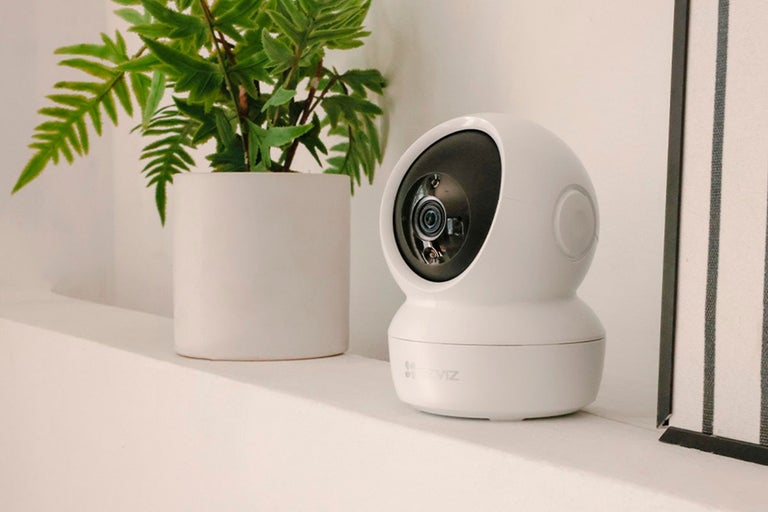 Biela bezpečnostná kamera vedľa rastliny v kvetináči