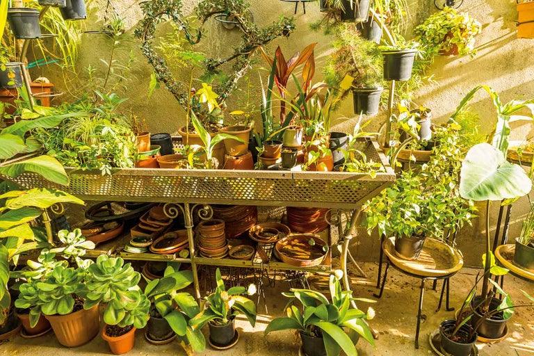 Záhradné prostredie s rastlinami a kvetináčmi na kovovom stole