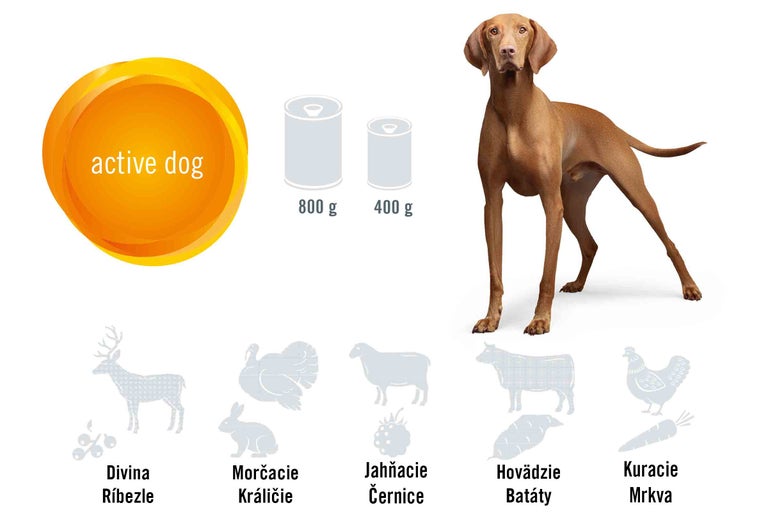 Znázornenie krmiva pre aktívne psy s prísadami divina, ríbezle, morčacie, králika, jahňacie, černice, hovädzie, batáty, kura a mrkva. Dostupné v 800 gramových a 400 gramových plechovkách.
