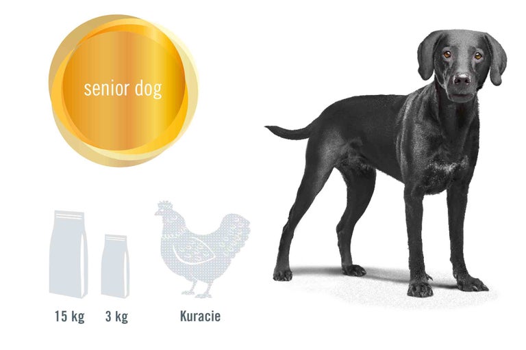 Ilustrácia krmiva pre staršie psy s kuracím mäsom