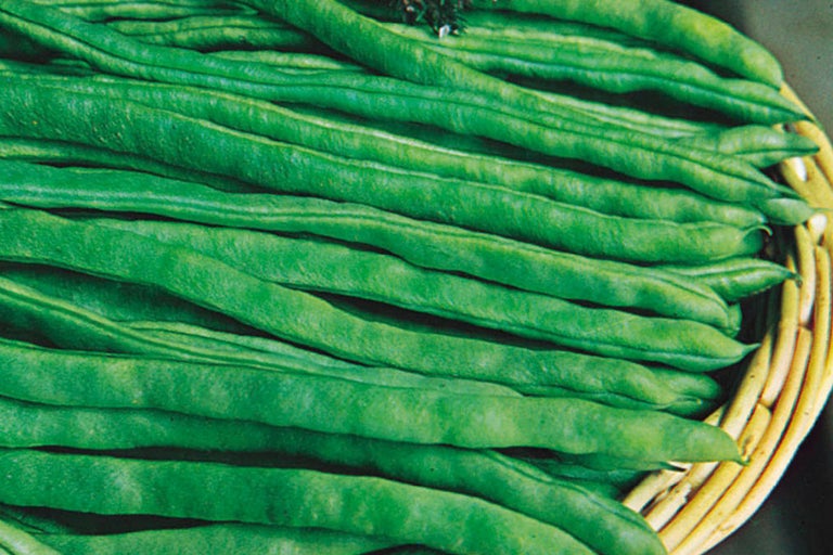 Zelené fazuľky v košíku