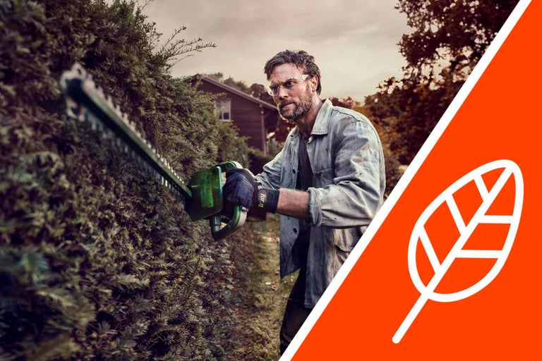 Muž strihá živý plot pomocou nožníc na živý plot.