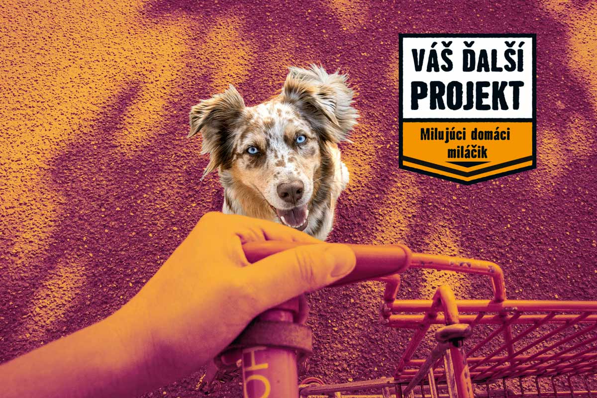 Pes vykúka spoza okraja nákupného vozíka, nad ním text Váš ďalší projekt: Milujúci domáci miláčikovia