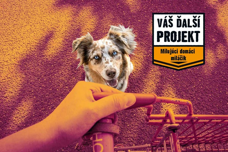 Máme radi zvieratá