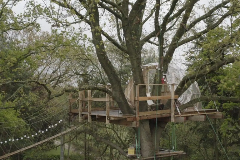 Dom na strome s drevenou plošinou, visutým mostom a osvetlením v lese