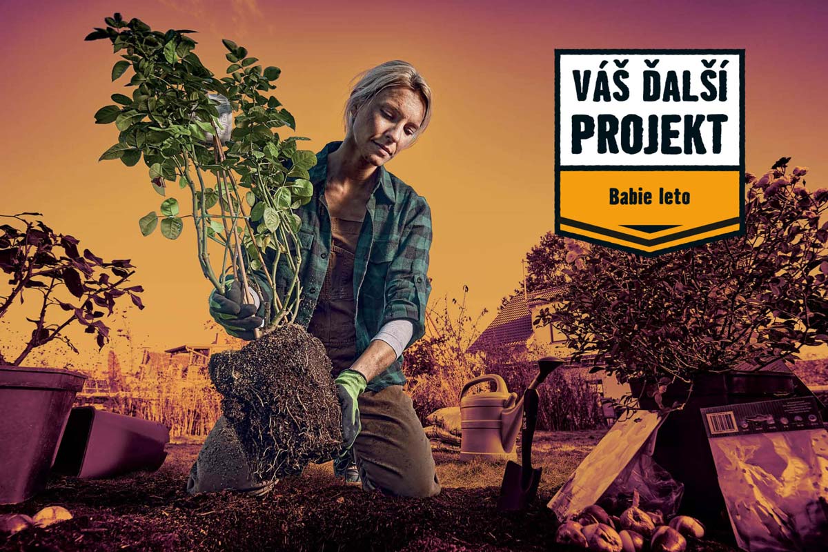 Žena sadí ružu v záhrade. Záhradné náradie a príslušenstvo na výsadbu sú viditeľné. Nápis Váš ďalší projekt: Babie leto