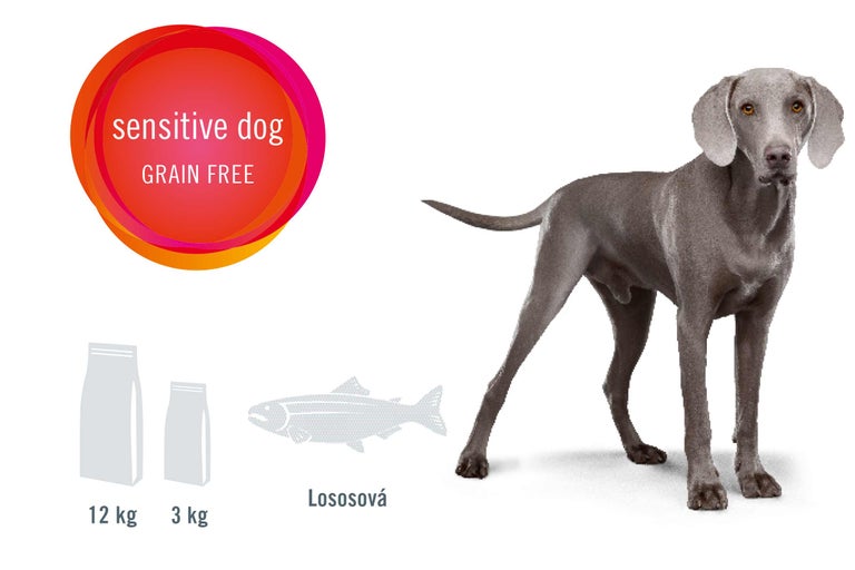 Pes s krmivom pre citlivé psy, bez obilnín, s rybou, balenie 12 kilogramov a 3 kilogramy