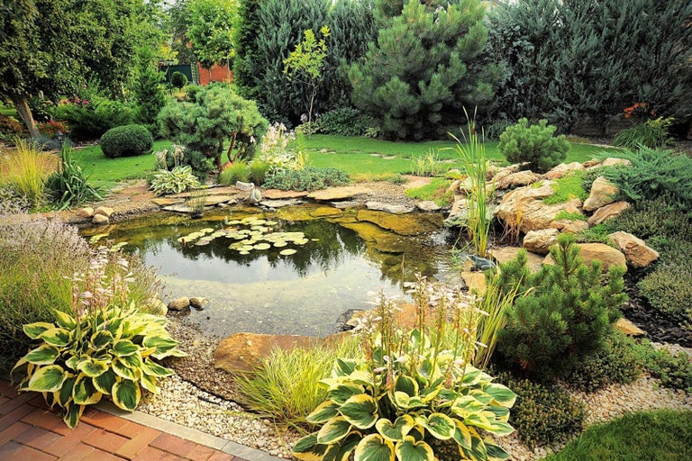 Jazierko v záhrade s kameňmi, rastlinami a lekno