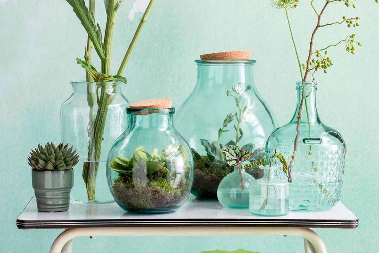 Dekoratívne sklenené vázy a kvetináč so sukulentom usporiadané na stole