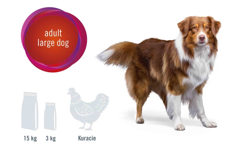 Ilustrácia krmiva pre dospelých psov veľkých plemien